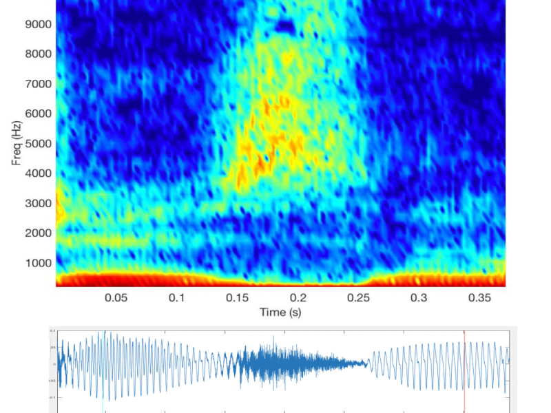 speech_analysis